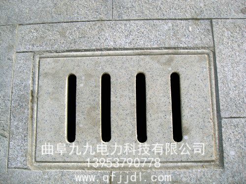 井蓋案例