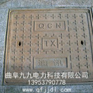 井蓋案例