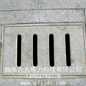 井蓋案例